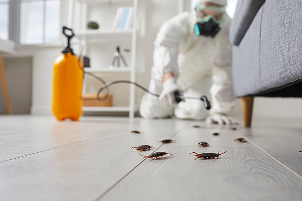Trusted Cockroach Control service in Hutchins, TX - Nex Pest Control